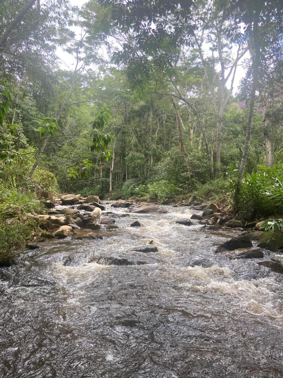 Fazenda E Pesqueiro Da Serra Inn 3*