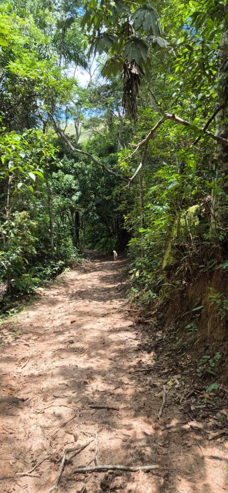 Inn Fazenda E Pesqueiro Da Serra Conceição da Ibitipoca