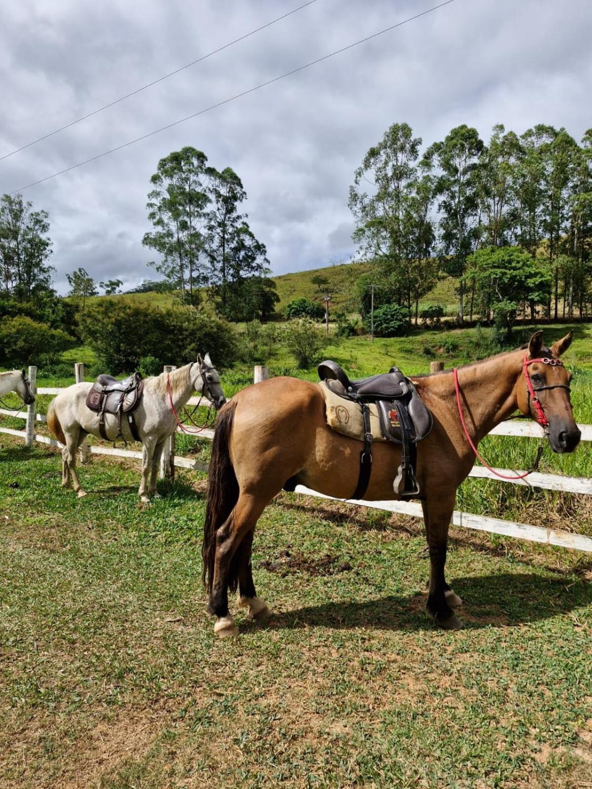 Fazenda E Pesqueiro Da Serra 3*