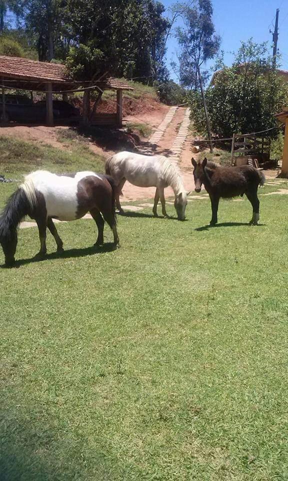 Fazenda E Pesqueiro Da Serra Inn